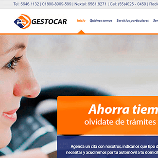 sitio web gestocar equilibrio visual